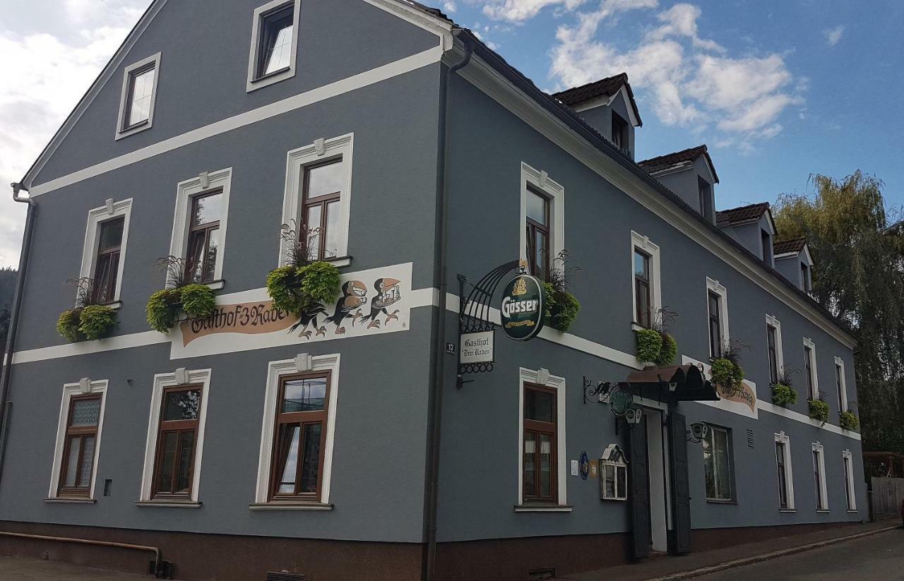 3 Raben - Leoben - Zimmer Fuer Geschaeftsreisende, Urlauber, Monteure Und Handwerker, Polski Pensjonat Austria Exteriör bild